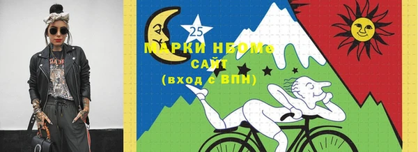 шишки Аркадак
