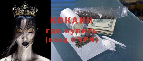 шишки Аркадак