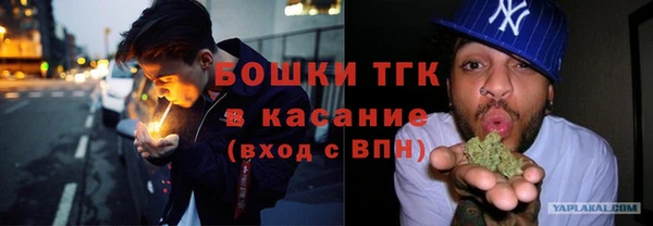 шишки Аркадак