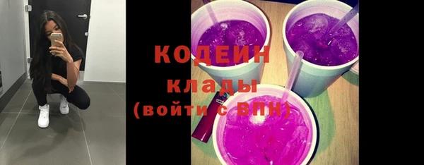 шишки Аркадак