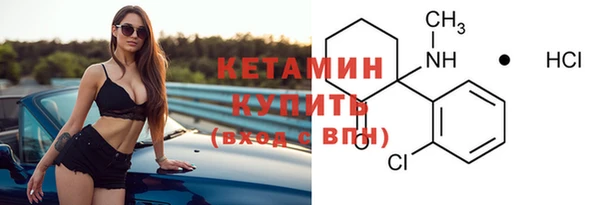 шишки Аркадак