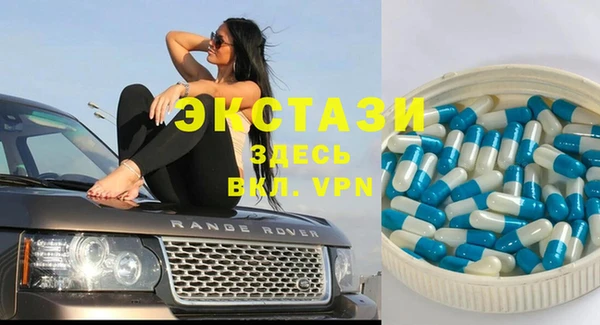 шишки Аркадак