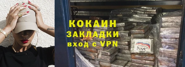 шишки Аркадак