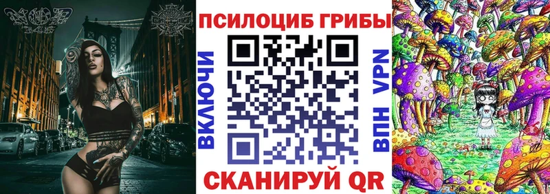 Галлюциногенные грибы Psilocybe  Сибай 